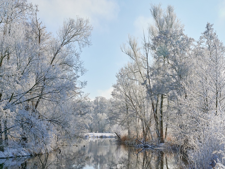 Spreewald